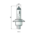 Lampje Narva 12V 60 / 55W fitting P43t