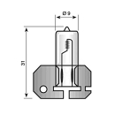 Bulb Osram H2 24V 70W X511 halogen