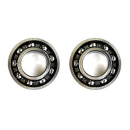 Bearing 6205/6205